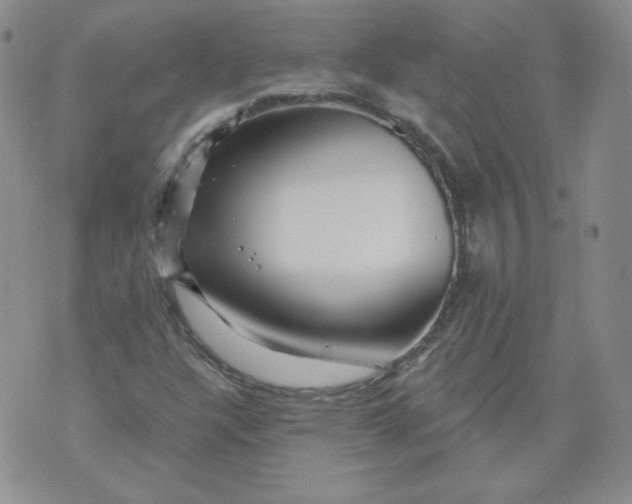 X0000071851304200607211842