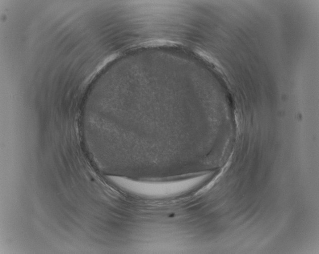 X0000071851305200607211842