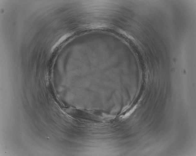 X0000071851306200607211842