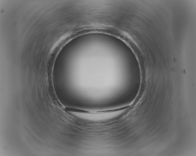 X0000071851307200607211842