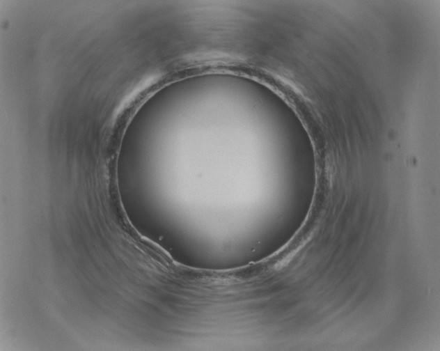 X0000071851309200607211842