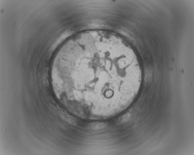 X0000071851314200607211842