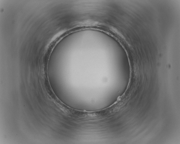 X0000071851315200607211842