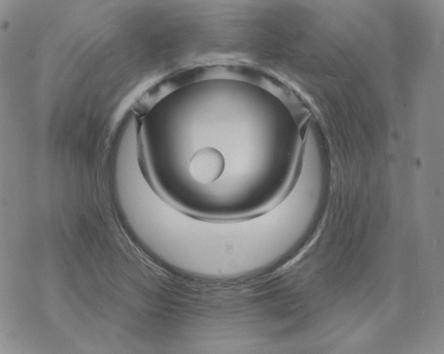 X0000071851317200607211842