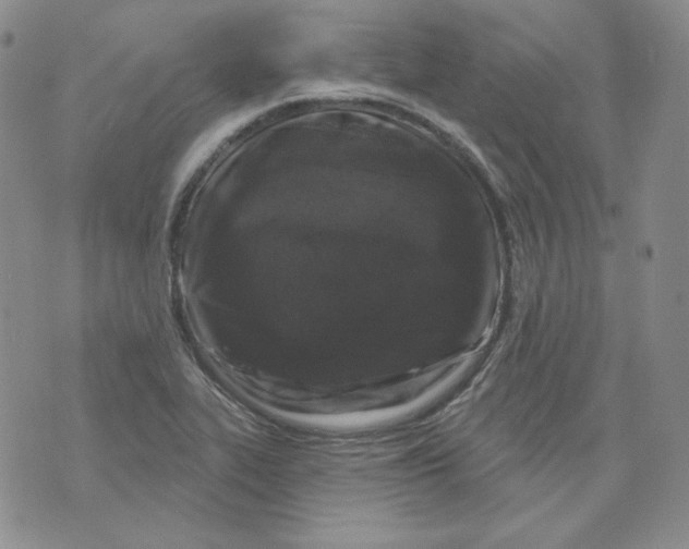 X0000071851319200607211842