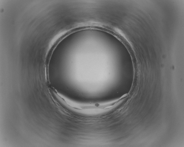 X0000071851320200607211842