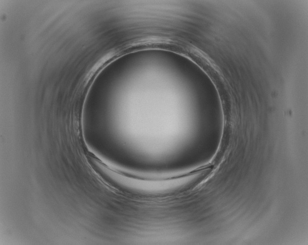 X0000071851321200607211842