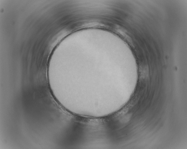 X0000071851322200607211842