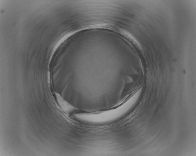 X0000071851324200607211842