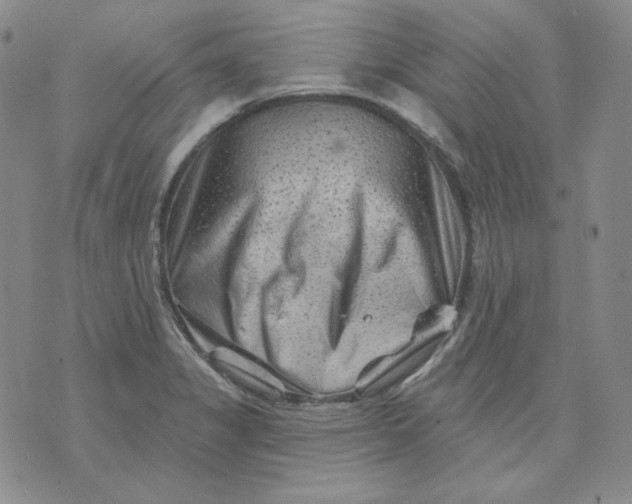 X0000071851325200607211842