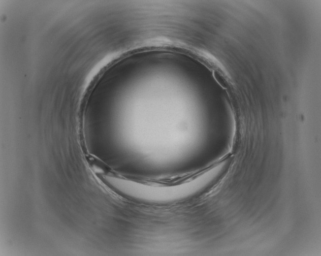 X0000071851326200607211842