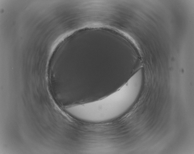 X0000071851327200607211842