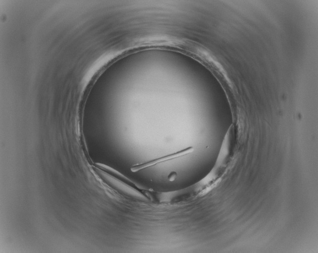 X0000071851328200607211842