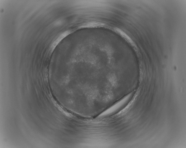 X0000071851329200607211842