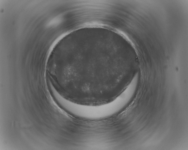 X0000071851331200607211843