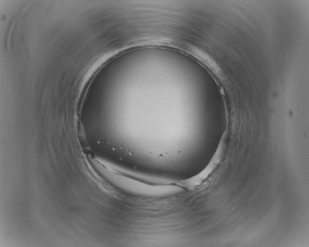 X0000071851332200607211843