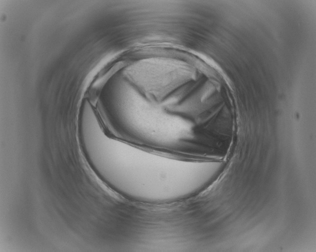 X0000071851333200607211843