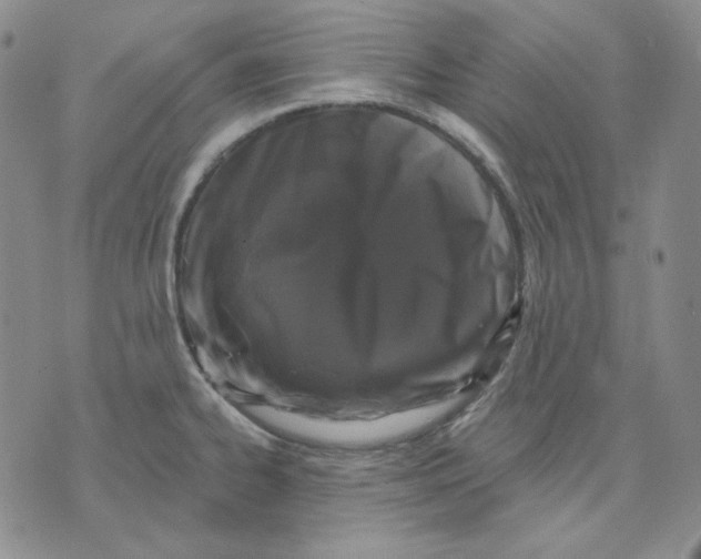 X0000071851334200607211843