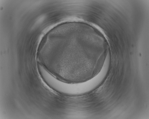 X0000071851335200607211843