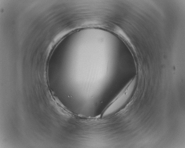 X0000071851336200607211843