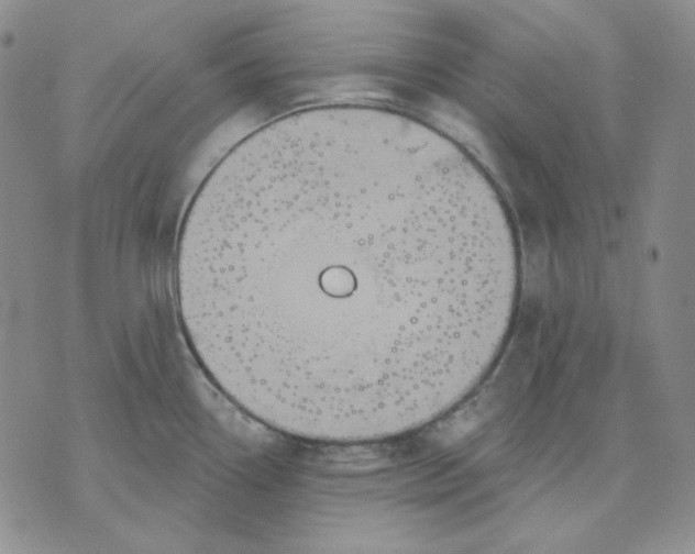 X0000071851338200607211843