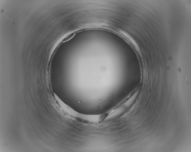 X0000071851340200607211843