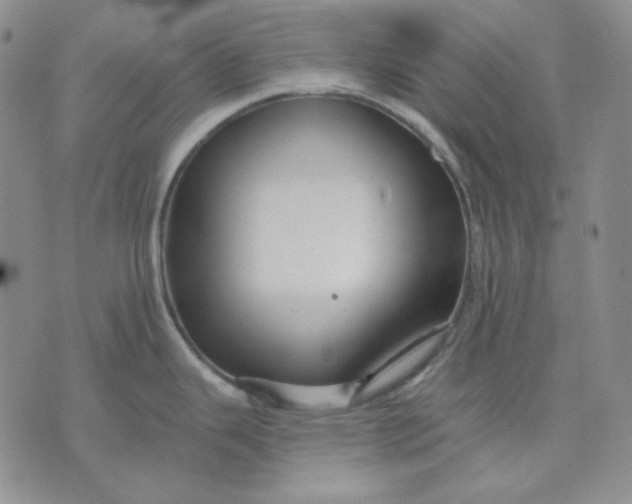 X0000071851343200607211843