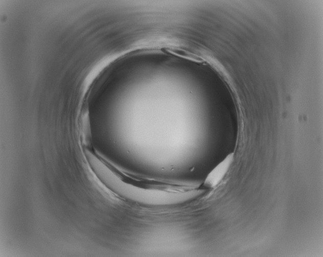 X0000071851344200607211843