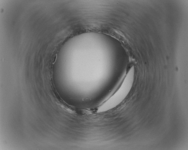 X0000071851345200607211842