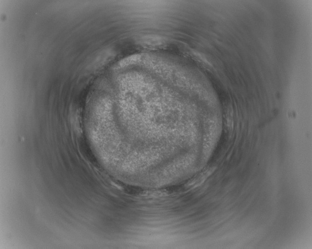 X0000071851346200607211842