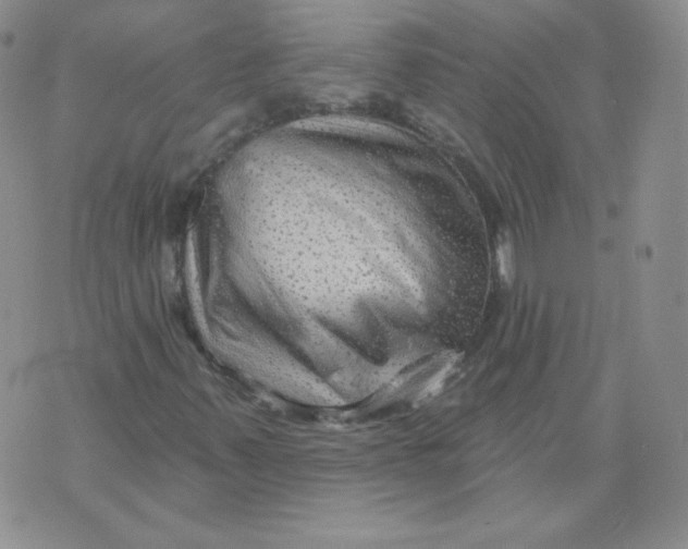 X0000071851347200607211842