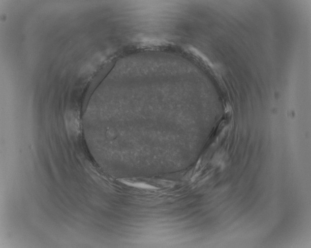 X0000071851348200607211842