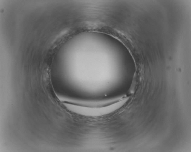 X0000071851349200607211842