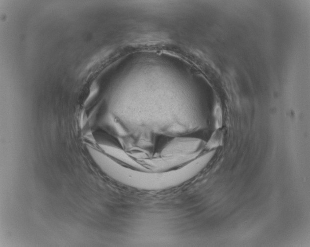 X0000071851350200607211842