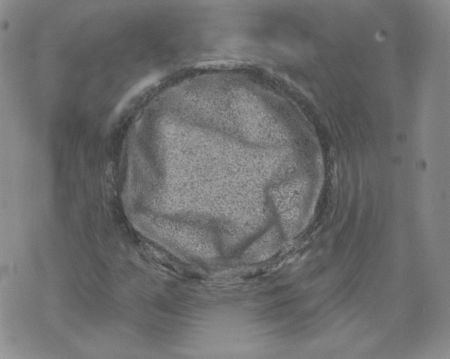 X0000071851351200607211842