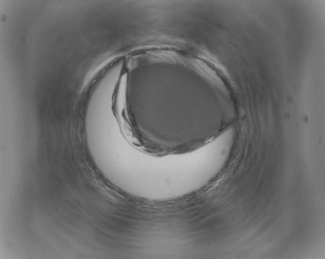 X0000071851352200607211842