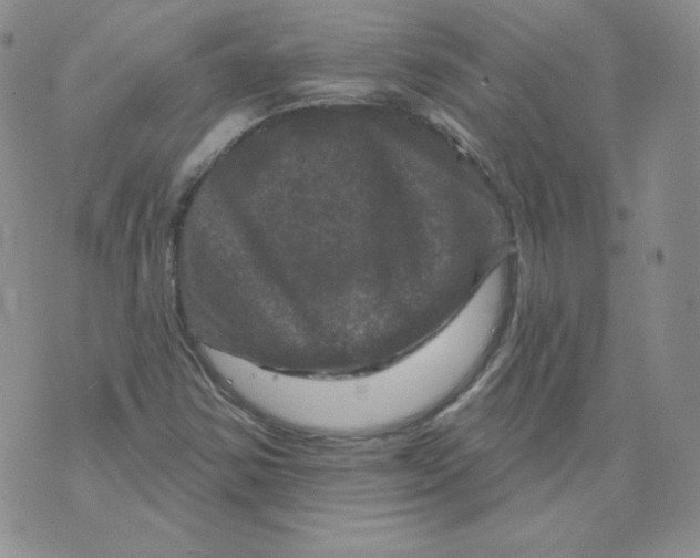 X0000071851354200607211842