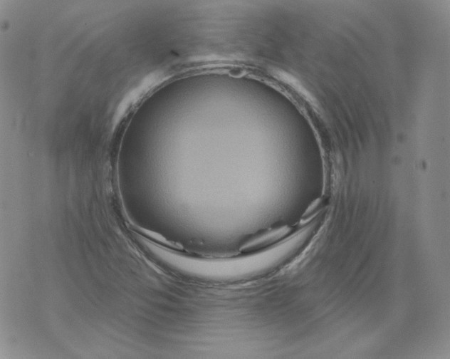 X0000071851357200607211842