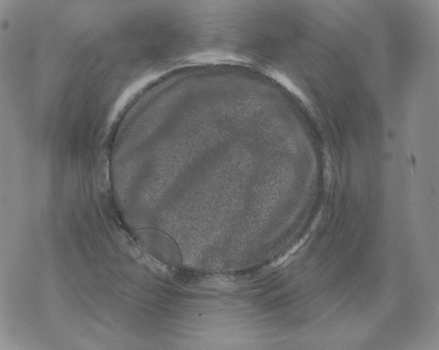 X0000071851358200607211842