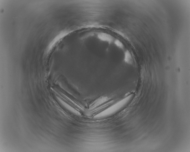 X0000071851359200607211842