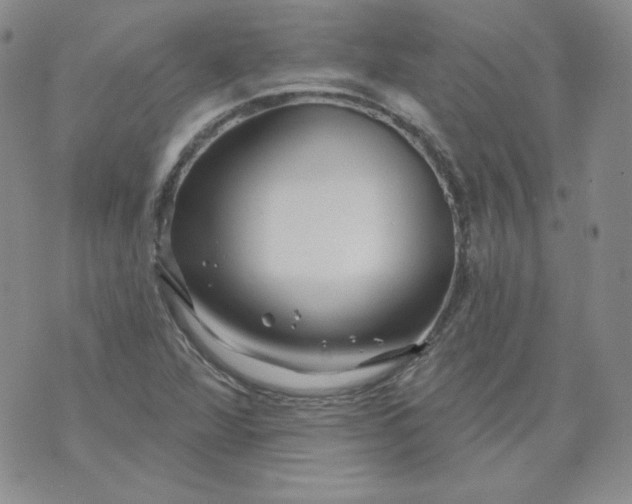 X0000071851360200607211842