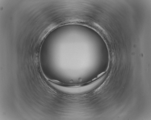 X0000071851361200607211842