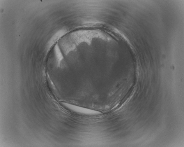 X0000071851362200607211842