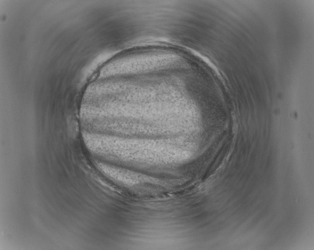 X0000071851363200607211842