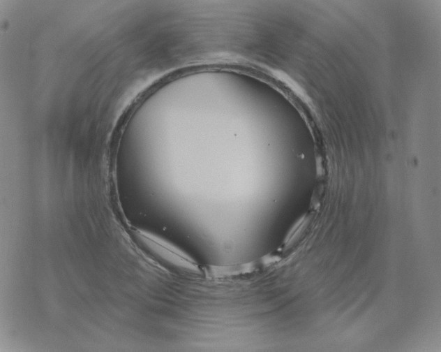 X0000071851364200607211842