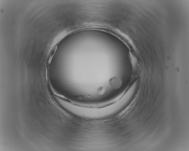 X0000071851365200607211842