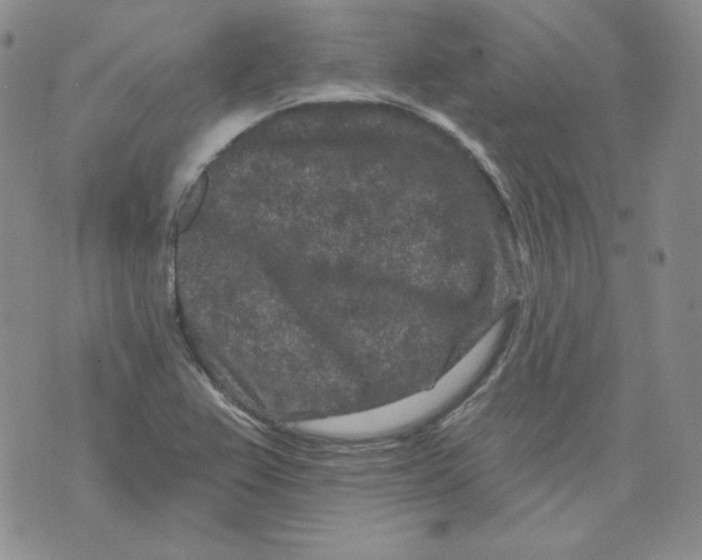 X0000071851367200607211842