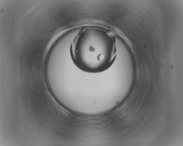 X0000071851368200607211842