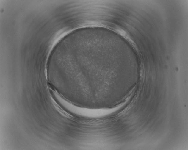 X0000071851372200607211842