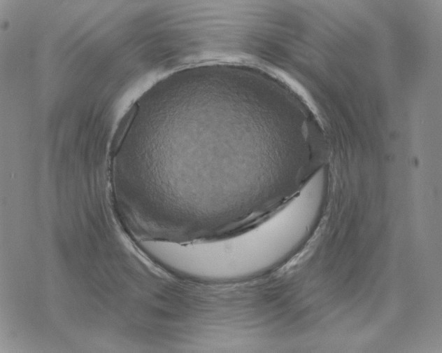 X0000071851373200607211841